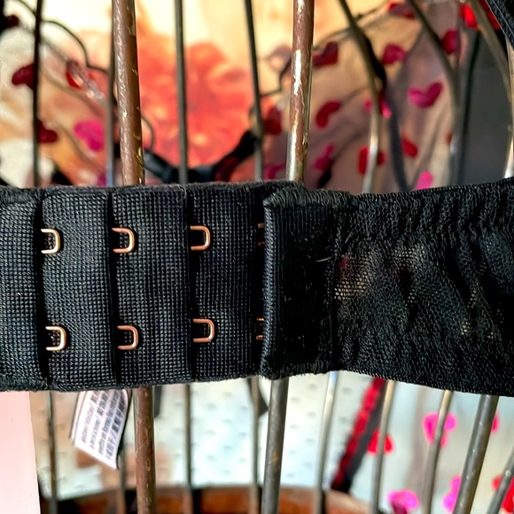 NWT Victoria’s Secret Sheer Sweet Négligé Top Piece Hearts Lace XL - Picture 4 of 7